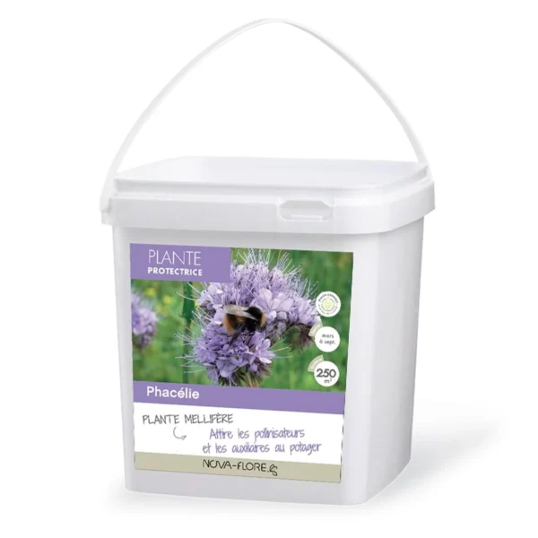 Phacélie Tanacetifolia Pour 250 M2 – Engrais Vert