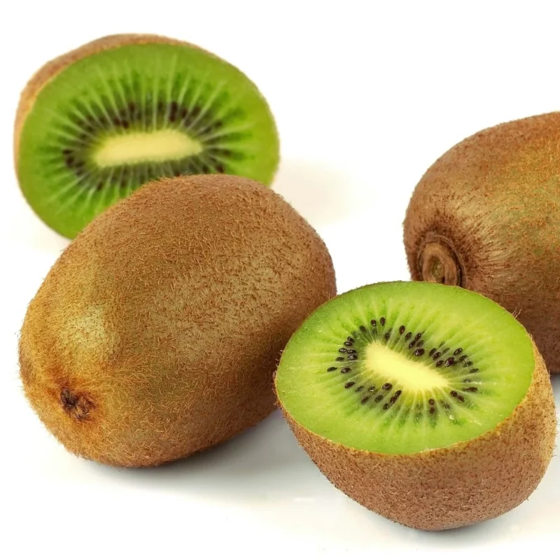 jeune plant de kiwi mâle