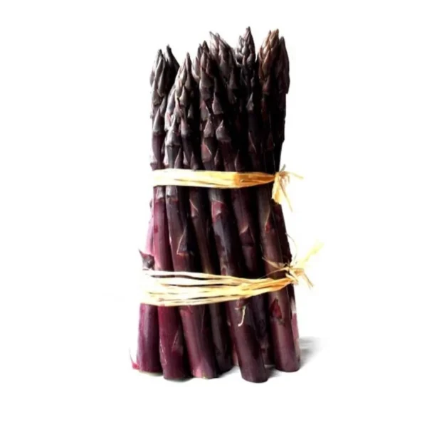 Asperge Rosalie En Griffes – Asparagus Officinalis