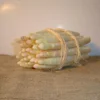 Asperge Argenteuil En Griffes – Asparagus Officinalis
