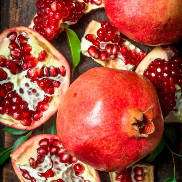 Grenadier à Fruits – Punica Granatum Provence