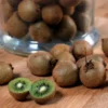 Kiwi Jenny (autofertile) Bio