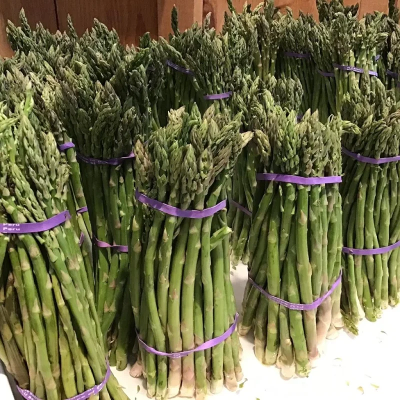 Asperge Verte Rambo - griffes robustes