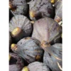 Figuier – Ficus Carica Grise De Tarascon